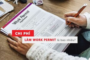 Chi phí làm work permit cho người nước ngoài lao động, hướng dẫn các bước thực hiện thủ tục, giấy tờ Luật Bistax chuyên xử lý hồ sơ khó, giấy tờ thiếu