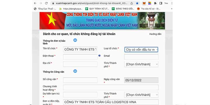 cách điền mẫu NA2 online, Viet Green Visa